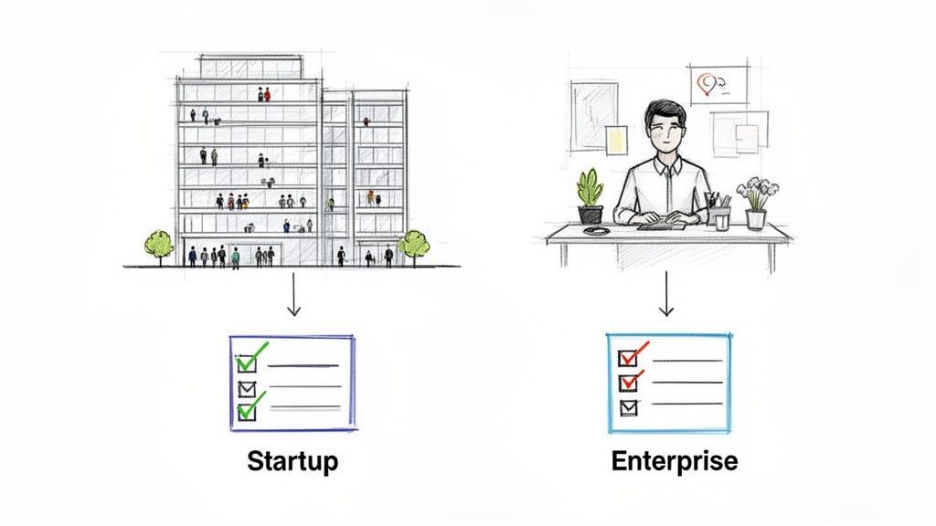 Sketch illustrating the difference between a dynamic startup and a more structured enterprise.